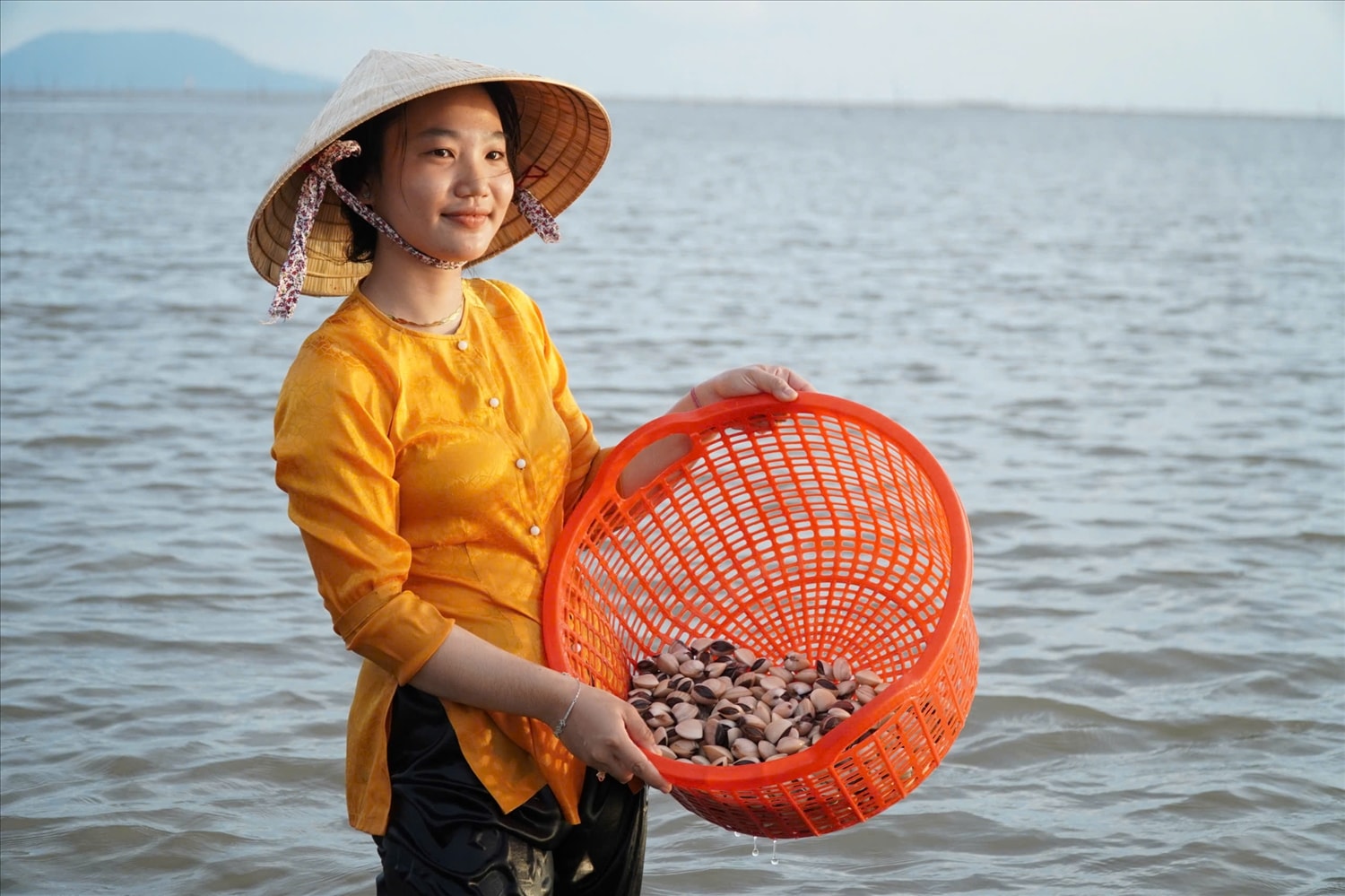Trải nghiệm khai thác nghêu thương phẩm của Hợp tác xã Nghêu Đất Mũi