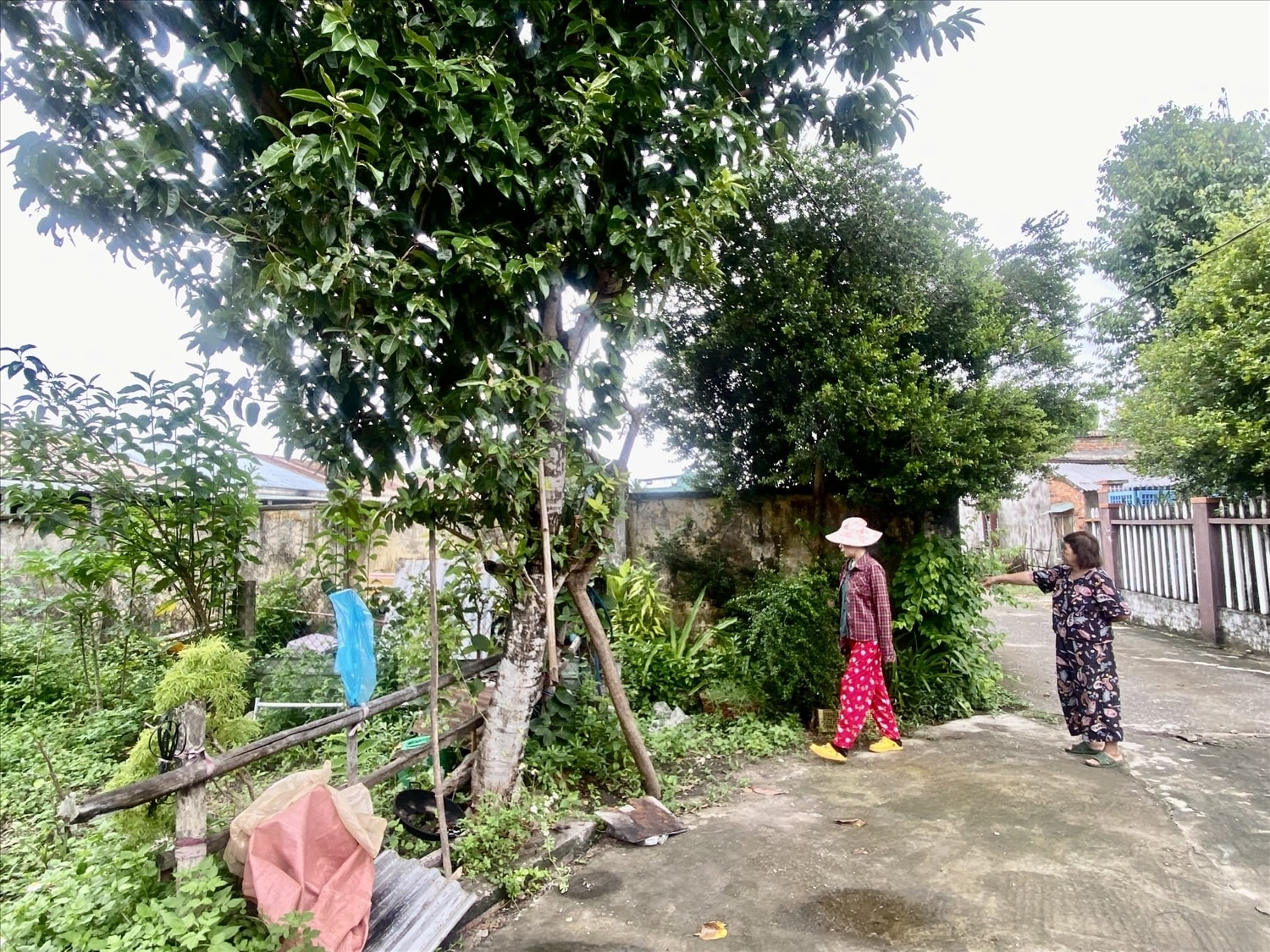 Người dân mong muốn sớm di dời lò mổ ra khỏi khu dân cư, để hạn chế ô nhiễm. (Ảnh Huy Trường).