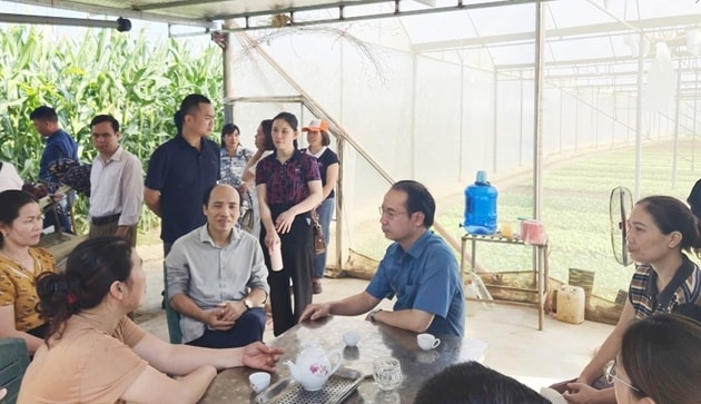 Giảng viên và học viên cùng trao đổi những khó khó khăn, vướng mắc quá trình thực hiện nhiệm vụ của khuyến nông cộng đồng tại địa phương