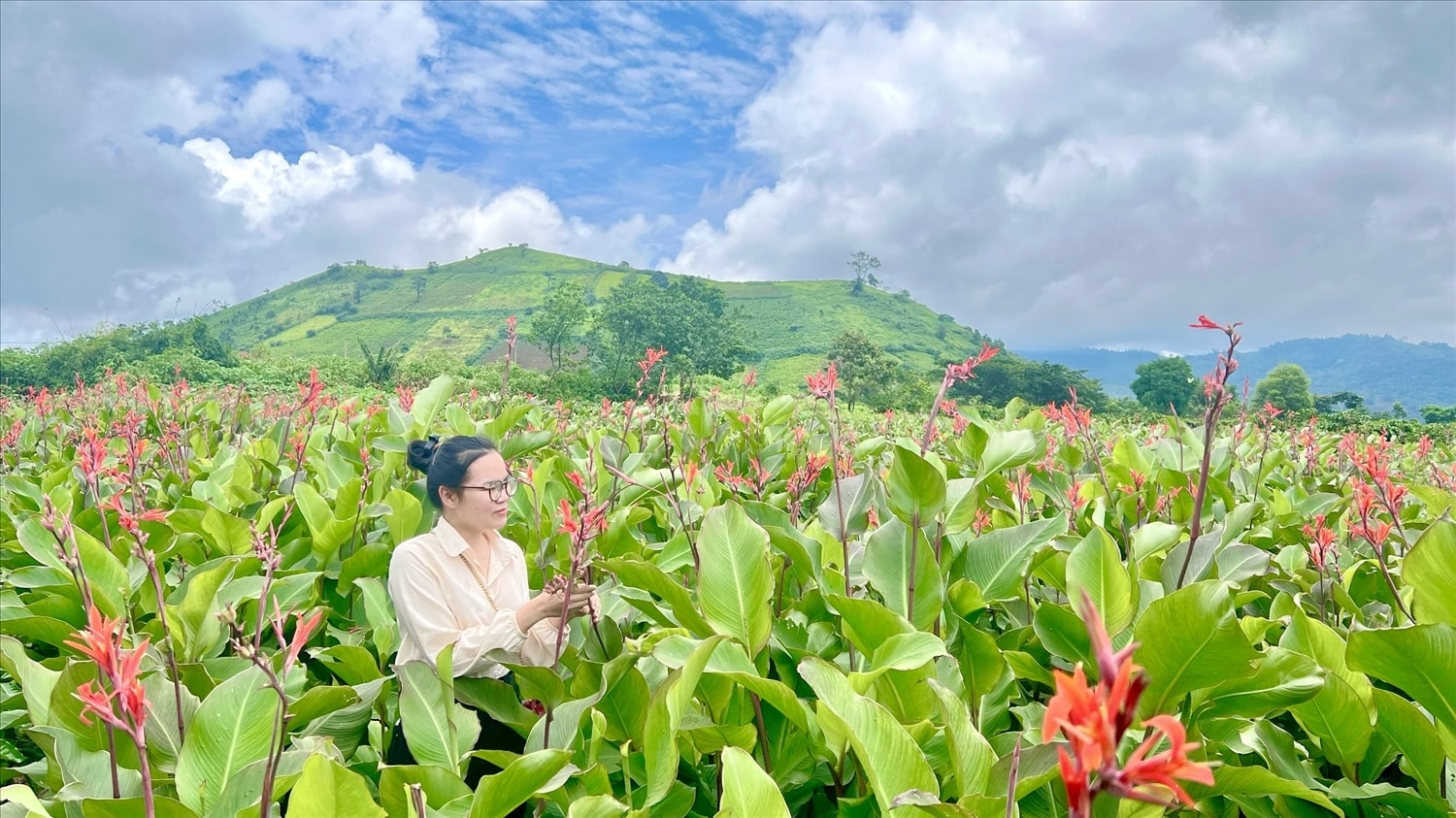 Trước vẻ đẹp của hoa dong riềng, nhiều bạn trẻ đã tìm đến để chụp ảnh lưu lại khoảnh khắc thiên nhiên tươi đẹp