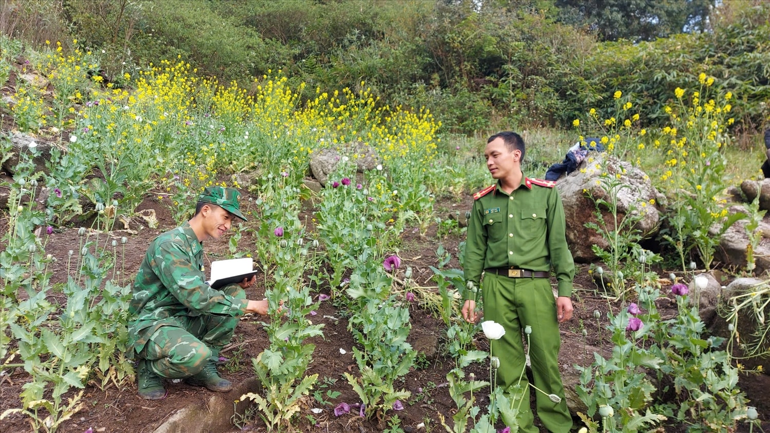 Lực lượng Công an và Bộ đội Biên phòng phối hợp phát hiện, bắt giữ 100 vụ, 115 đối tượng, thu giữ 2.751,32 gam heroin, phát hiện và tiêu hủy 1.850m² diện tích trồng cây thuốc phiện với 1.769 cây bị nhổ bỏ.