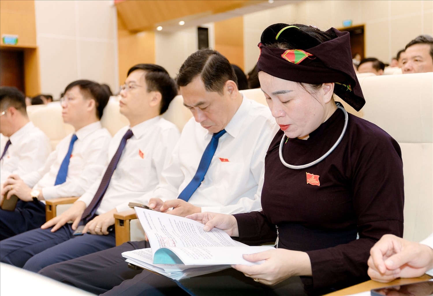 Các đại biểu dự phiên trù bị