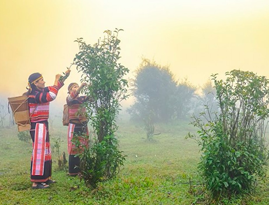 Một trong những nội dung của Kế hoạch tập huấn là giúp các sản phẩm đặc trưng  vùng đồng bào DTTS và miền núi vươn ra thị trường (Ảnh minh hoạ)