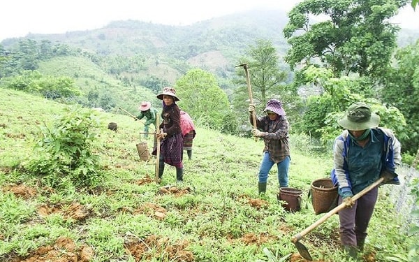 Cần cơ cấu lại ngành nông nghiệp góp phần thu hút đầu tư vào nông nghiệp công nghệ cao, tạo thêm việc làm tại nông thôn (Ảnh IT)