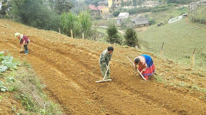 Ngành nông nghiệp Việt Nam đang chuyển sang mục tiêu “lấy giá trị, sinh thái và bền vững làm trọng tâm” (Ảnh IT)