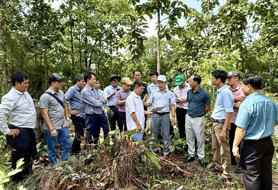 Sở GD&ĐT tỉnh Gia Lai khảo sát địa điểm để xây dựng các trường nội trú khu vực biên giới (Ảnh T.N) Sở GD&ĐT tỉnh Gia Lai khảo sát địa điểm để xây dựng các trường nội trú khu vực biên giới (Ảnh T.N)