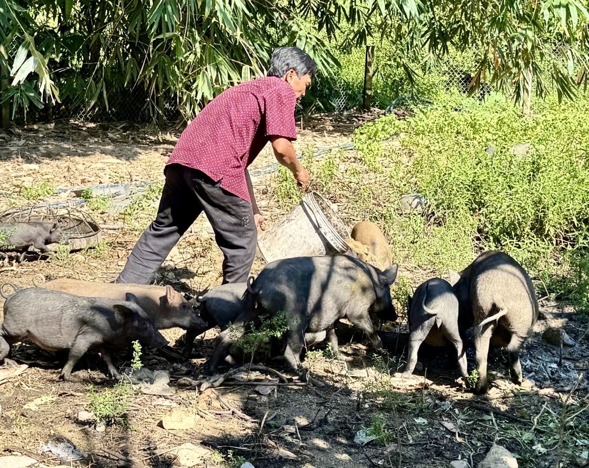 Không chỉ làm giàu, ông Nam còn hỗ trợ nhiều hộ trong xã cải thiện sinh kế. (Ảnh Huy Trường).