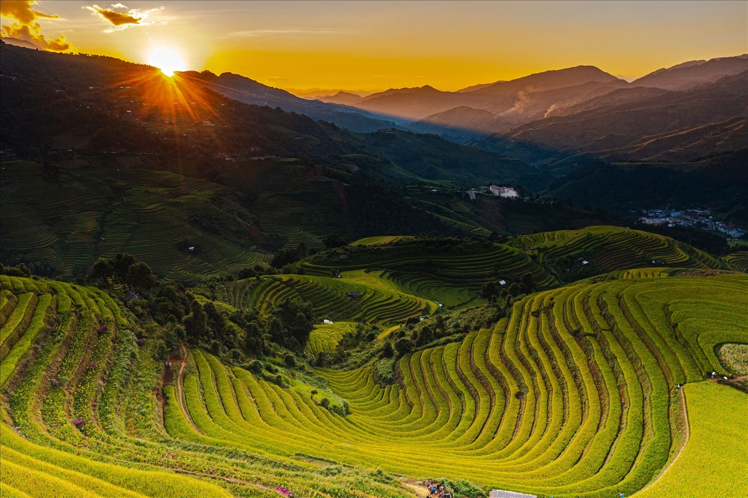 Dưới ánh hoàng hôn, khu ruộng bậc thang hình móng ngựa ở Bản Lao Chải hiện lên với vẻ đẹp trầm mặc, yên bình, những sóng lúa vàng óng ánh trong nắng chiều.