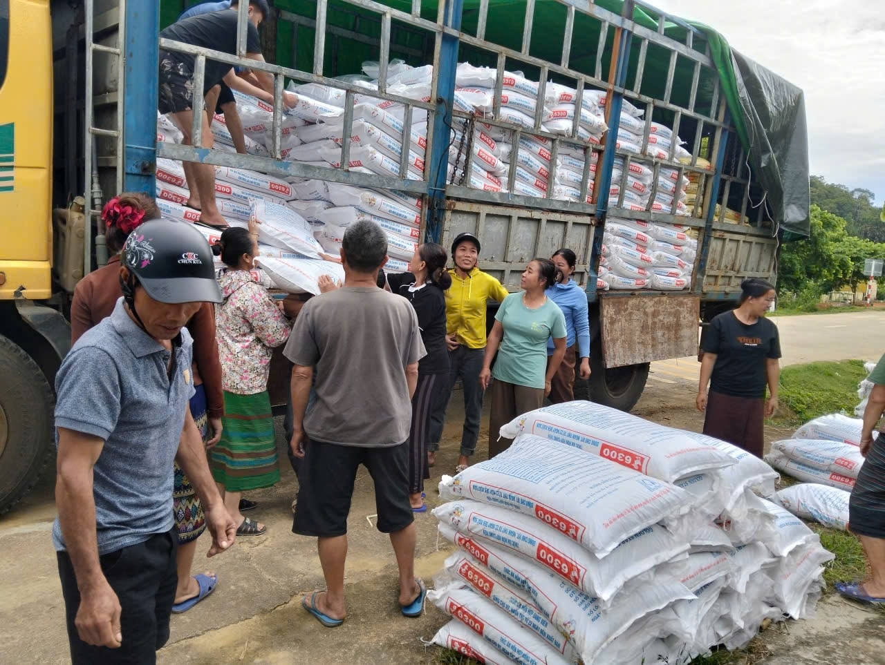 Hỗ trợ thức ăn chăn nuôi theo mô hình sinh kế tại xã Thông Thụ - Ảnh: CSCC