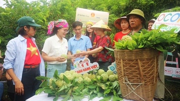 Phiên livestream “Cây na số” tại Mô hình “Vườn na Võ Nhai trên môi trường số” tại Võ Nhai Phiên livestream “Cây na số” tại Mô hình “Vườn na Võ Nhai trên môi trường số” tại Võ Nhai
