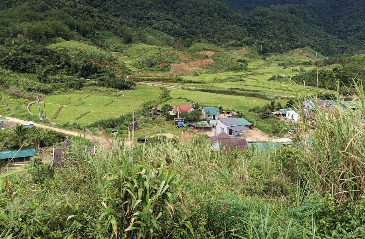 Vết có nguy cơ gây sạt lở đất làm ảnh hưởng đến 12 hộ dân sinh sống dưới chân đồi. (Ảnh: Ngọc Chí)