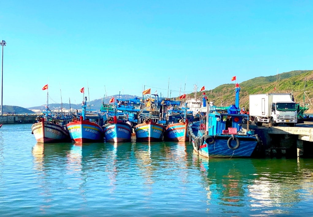 Tỉnh Gia Lai khẩn trương kêu gọi tàu thuyền về nơi an toàn để tránh bão Bualoi (Ảnh minh hoạ)