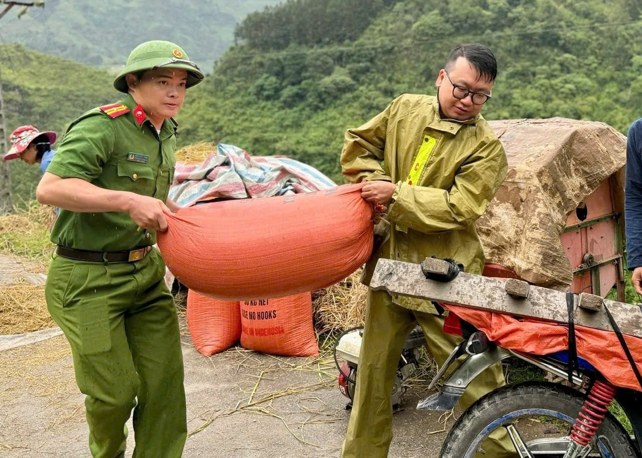 Với phương châm “4 tại chỗ”, cán bộ, chiến sĩ Công an xã Thàng Tín đã trực tiếp giúp bà con thu hoạch lúa, hoa màu kịp thời