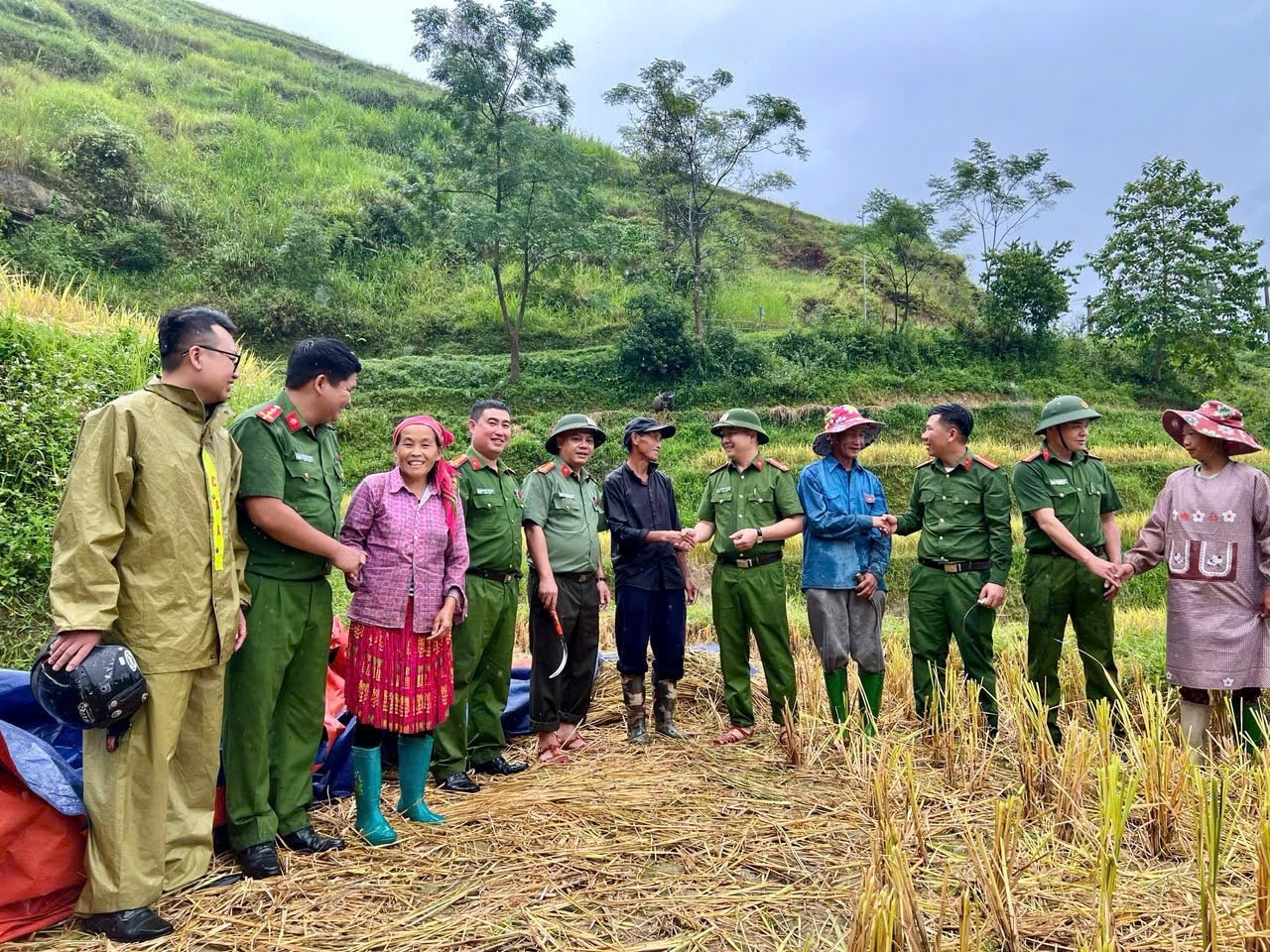 Cán bộ, chiến sĩ Công an xã biên giới Thàng Tín hỗ trợ người dân gặt lúa trước dự báo sẽ có mưa lớn doa ảnh hưởng bởi các cơn bão