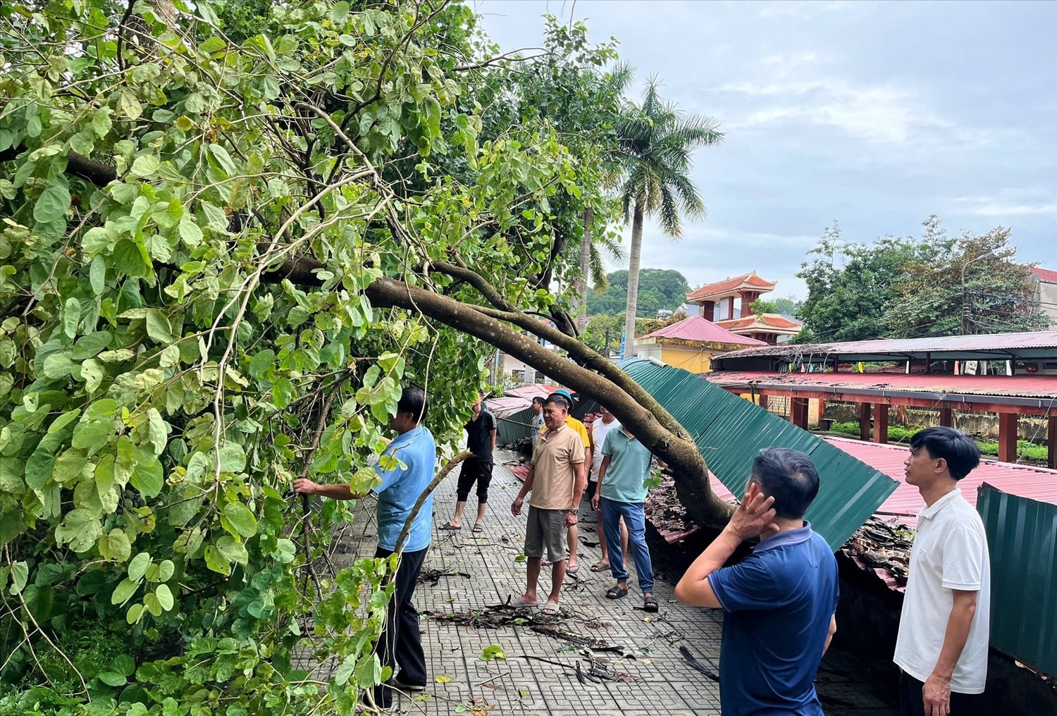 Giáo viên Trường THPT Lang Chánh khắc phục hậu quả do thiên tai gây ra.