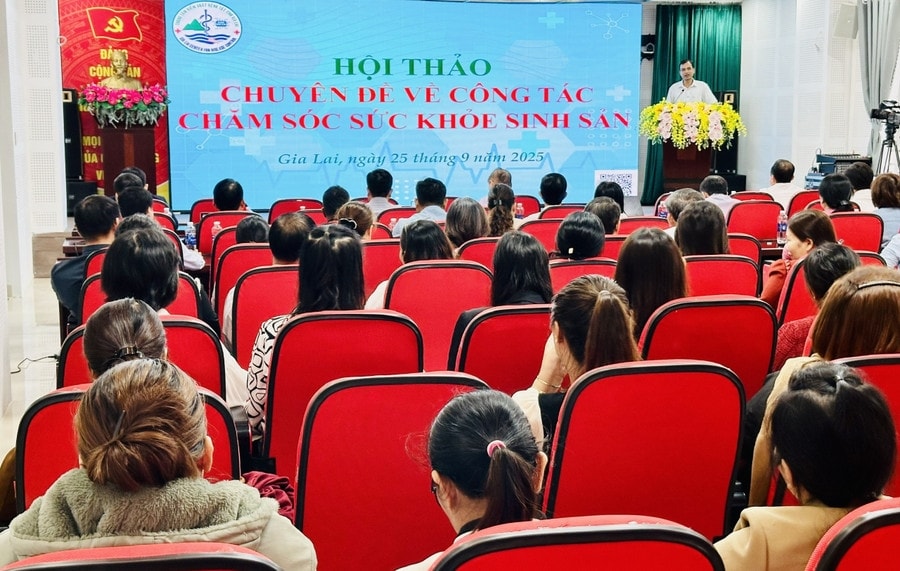 Các giải pháp phù hợp với thực tế ở địa phương được các đại biểu đưa ra tại hội thảo CSSKSS