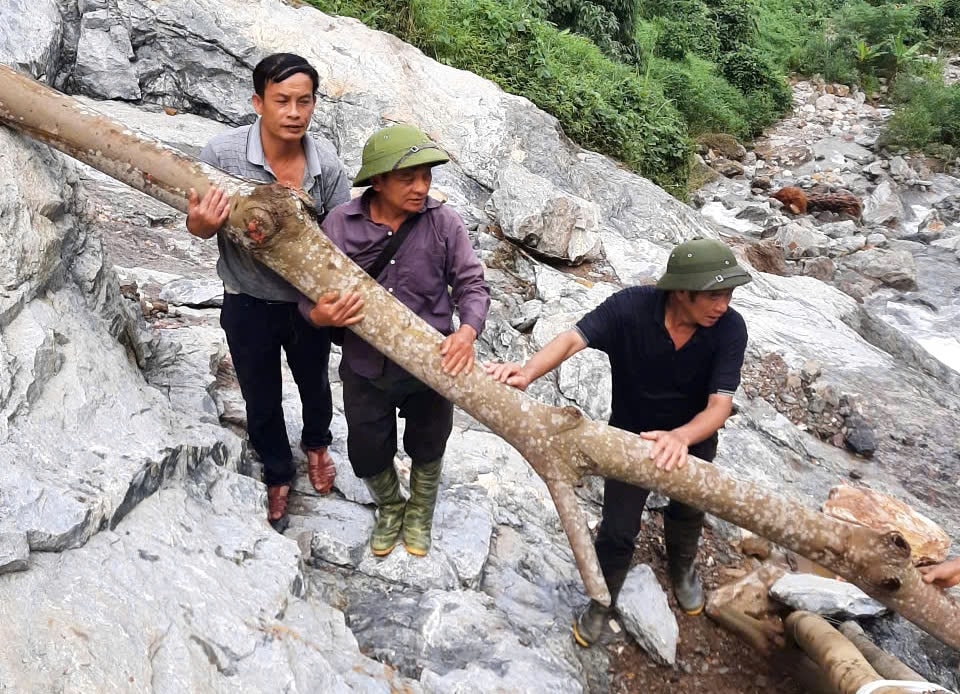 Những thân cây to, chắc được người dân dựng làm trụ đỡ