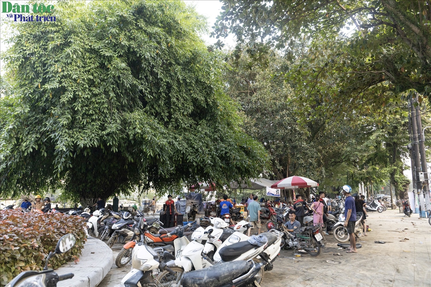 Hàng trăm chiếc xe máy đang được khẩn trương sửa chữa miễn phí tại Công viên Cây Xanh, phường Hà Giang 1, tỉnh Tuyên Quang