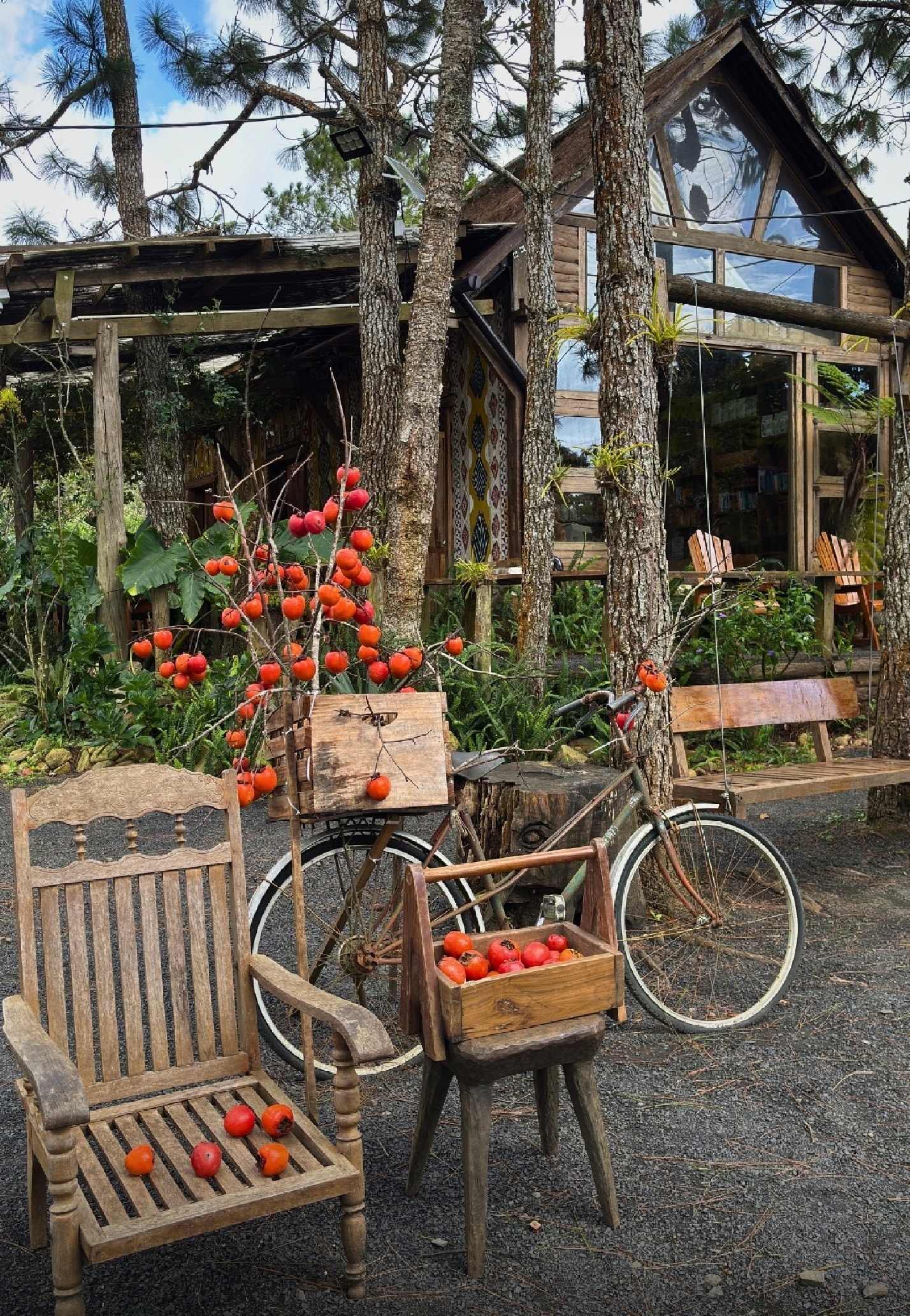 Mùa hồng không chỉ làm đẹp thêm cho Măng Đen mà còn tạo nên bức tranh sinh động của sự gắn kết giữa thiên nhiên và con người.