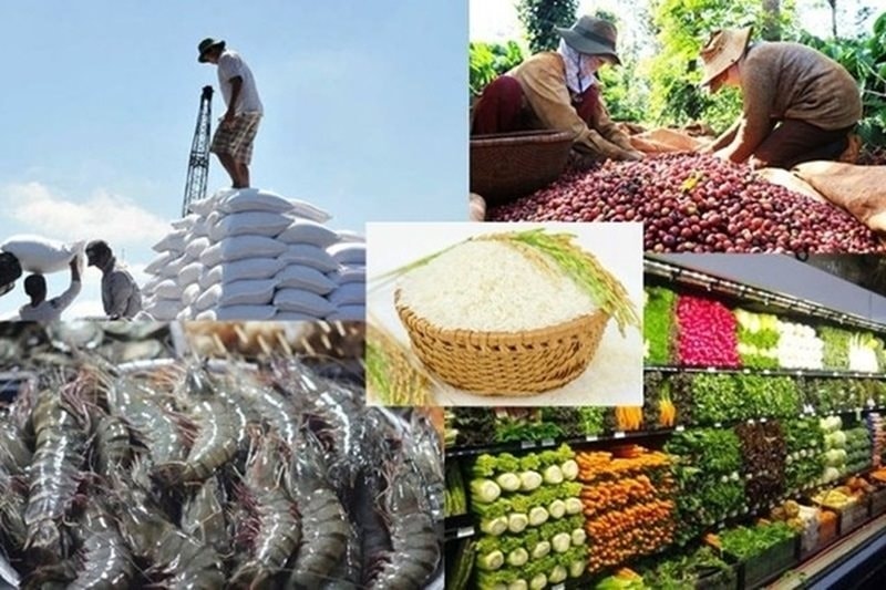 Kết quả 9 tháng đầu năm 2025 của ngành nông nghiệp khá tích cực, với kim ngạch xuất khẩu 9 tháng đạt 52,31 tỷ USD (Ảnh MH).