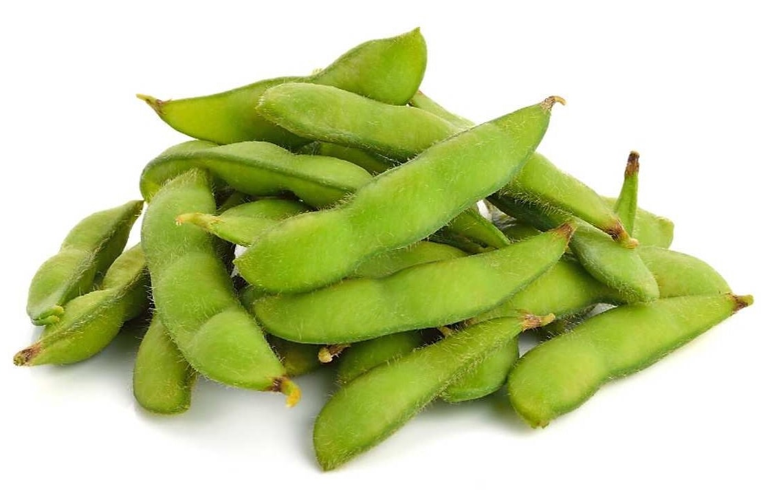 Quy trình kỹ thuật trồng đậu tương hiệu quả 