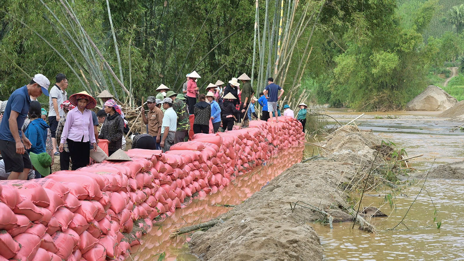 Cấp ủy, chính quyền và Nhân đân đắp đê chắn lũ (ảnh Trọng Bảo)