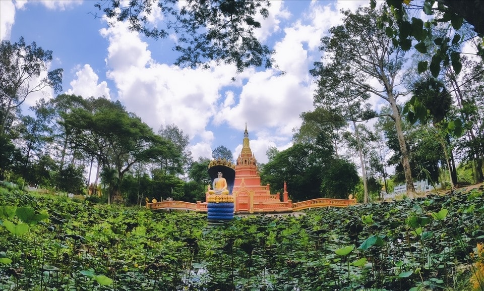 Ấn tượng nhất là hồ sen ở phía đông của chính điện