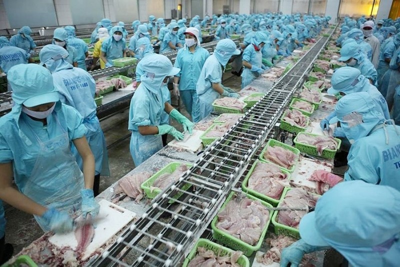 Xuất khẩu nông, lâm, thủy sản tự tin cán mốc 70 tỷ USD trong năm 2025 (Ảnh IT)