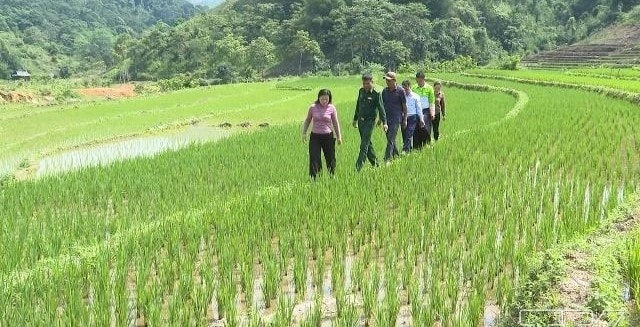 Người Mông ở huyện Quan Sơn (cũ) cùng giúp nhau phát triển kinh tế, xóa bỏ hủ tục