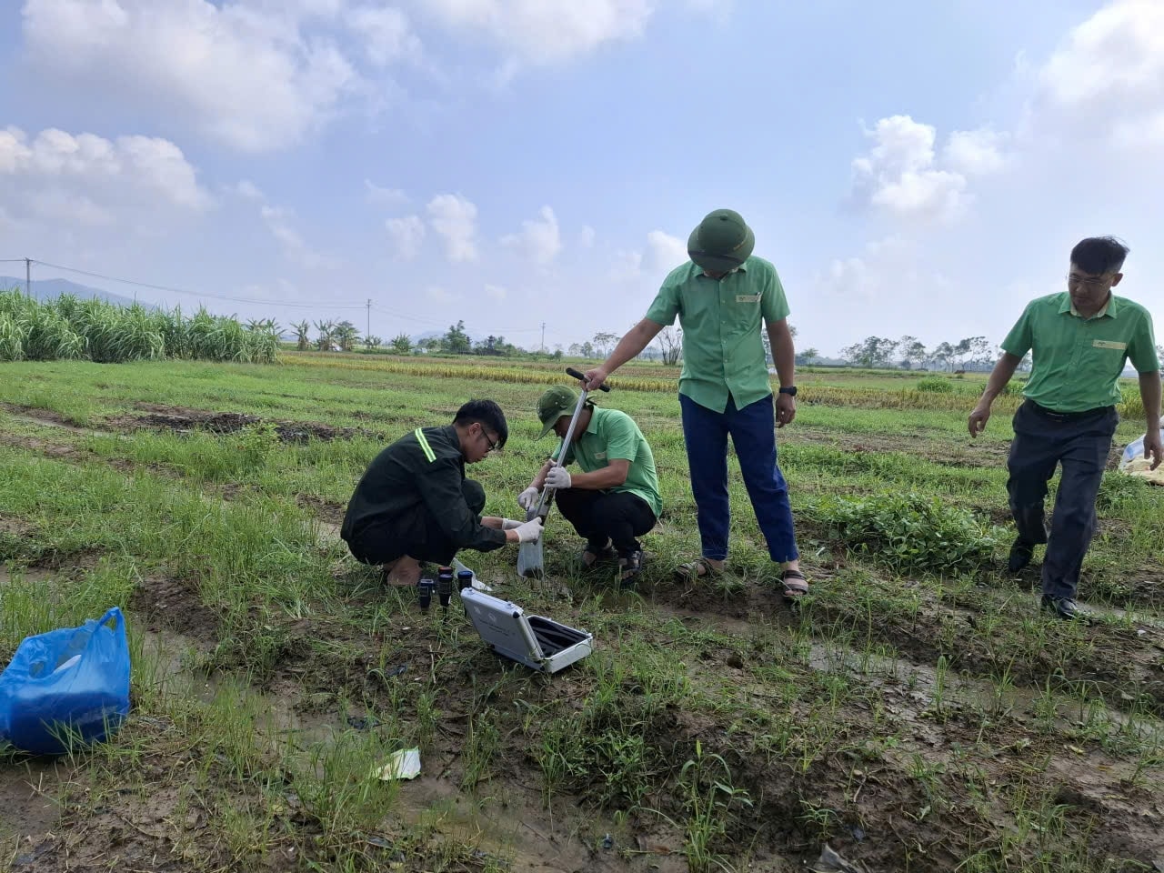 Cán bộ kỹ thuật phân tích mẫu đất để xử lý và cải tạo đất hiệu quả nhất