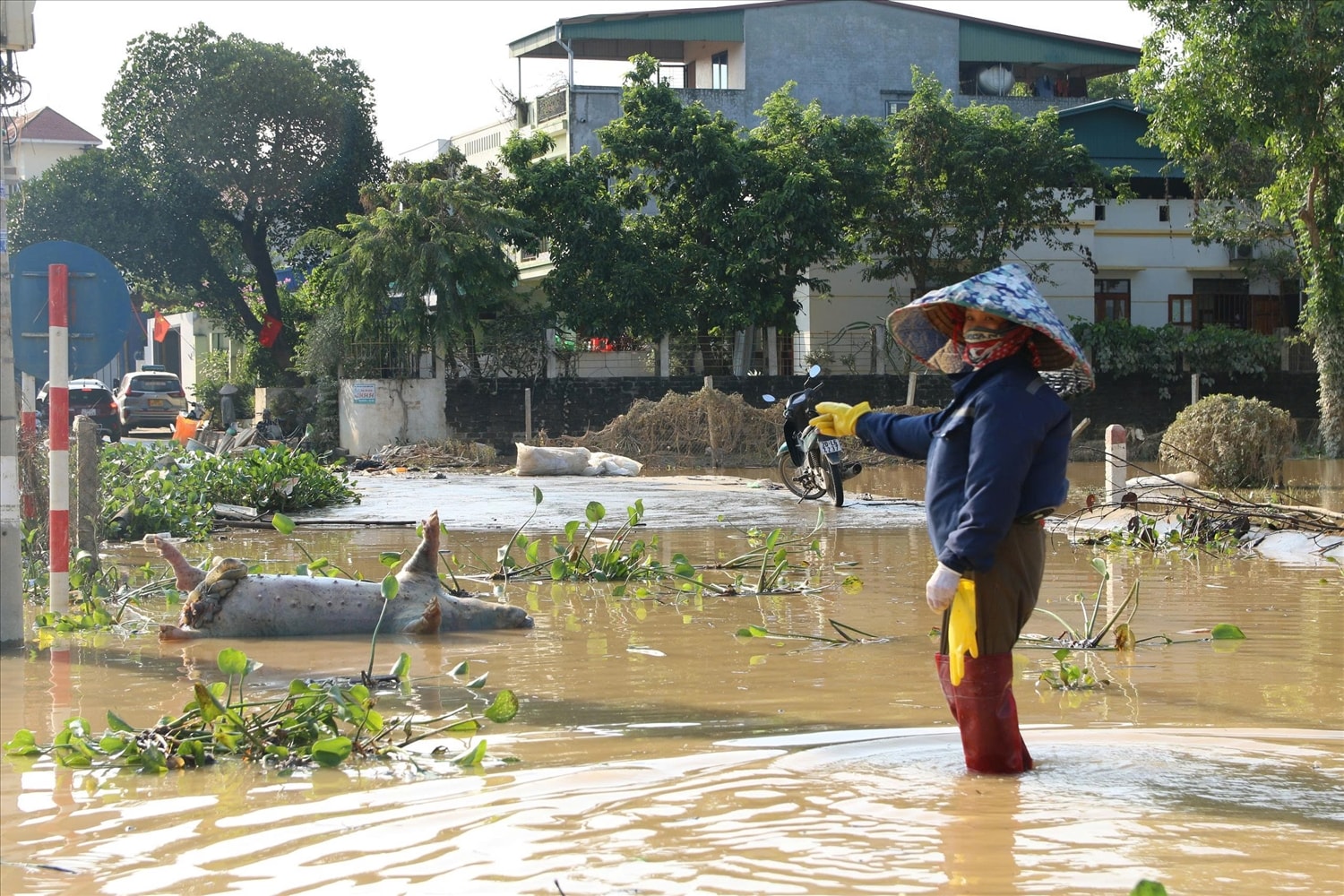 Bà Nguyễn Thị Việt, tổ dân phố Tân Thành 2, phường Linh Sơn lo lắng nguy cơ bùng phát dịch bệnh sau khi nước rút. (Ảnh: Thế Toàn)