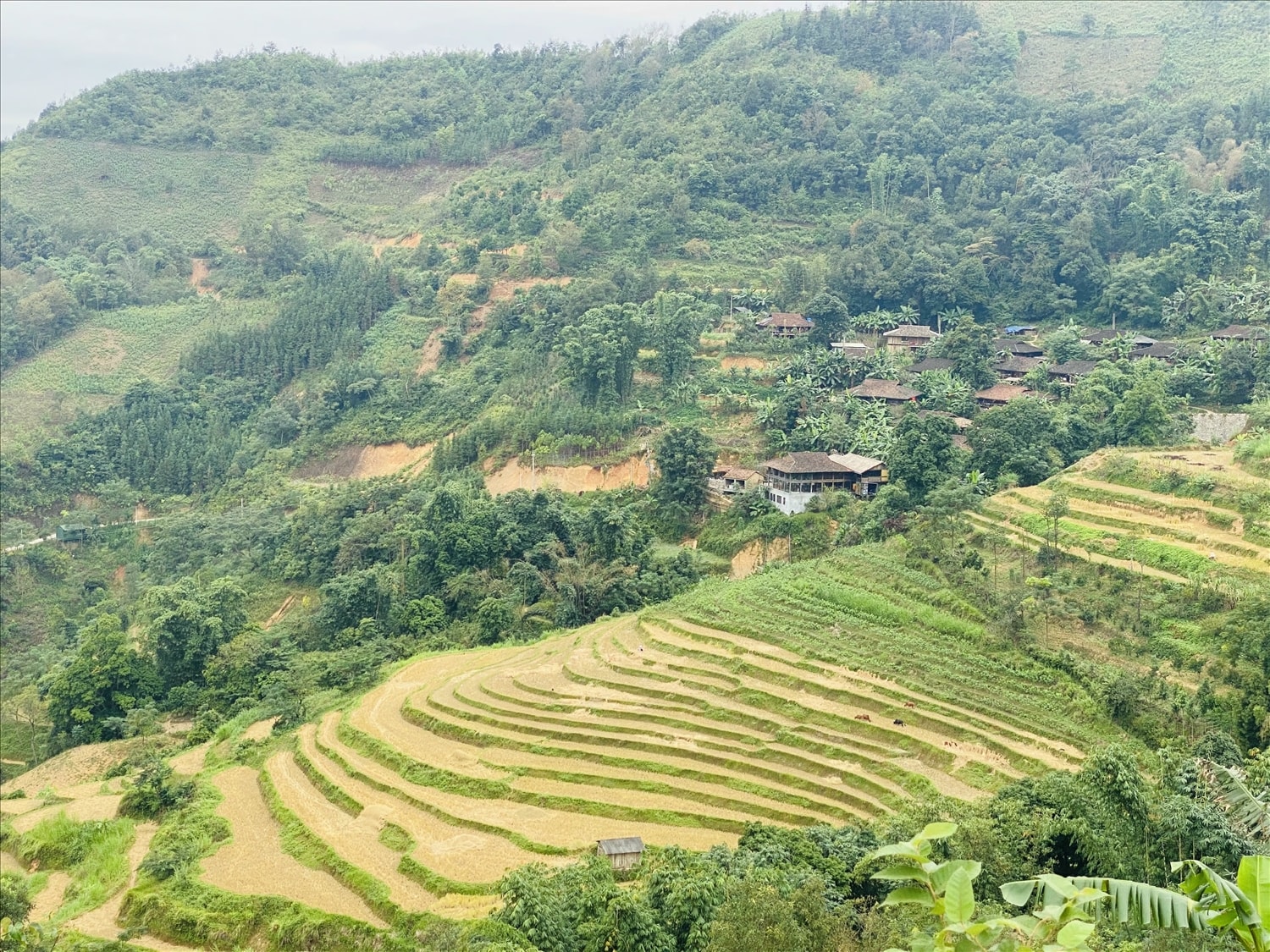 Với lợi thế thiên nhiên tươi đẹp, đồng bào Lô Lô ở xóm Khuổi Khuôn, xã Hưng Đạo đã phát triển du lịch cộng đồng để thoát nghèo bền vững.