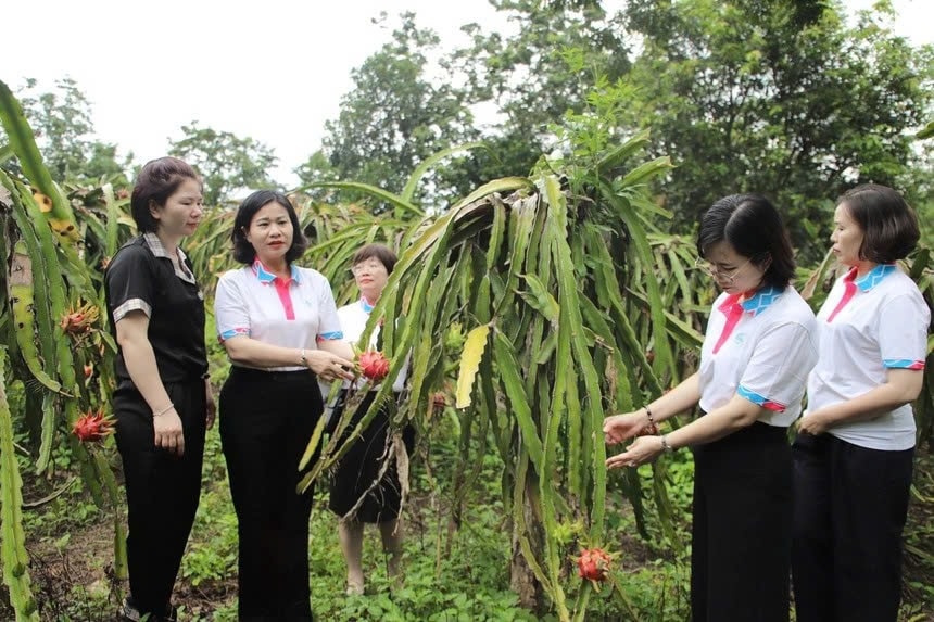 Chủ tịch Hội LHPN Việt Nam Nguyễn Thị Tuyến kiểm tra hiệu quả triển khai mô hình sinh kế tại tỉnh Tuyên Quang