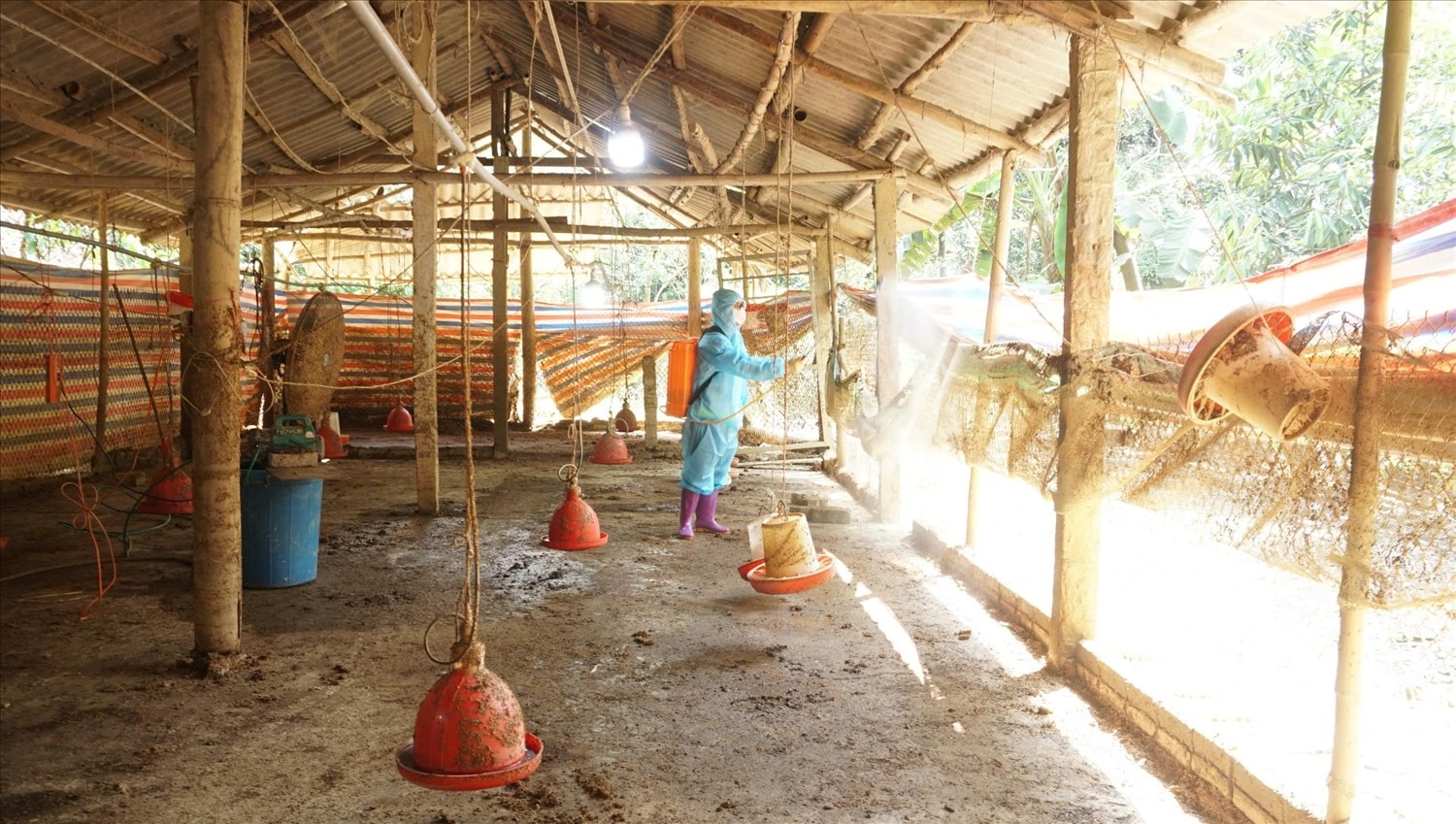 Sự hỗ trợ kịp thời của Trung tâm Khuyến nông quốc gia không chỉ giúp bà con ổn định sản xuất, khôi phục sinh kế, mà còn thể hiện vai trò đồng hành của ngành Nông nghiệp trong việc xây dựng nền nông nghiệp chủ động, bền vững và thích ứng với thiên tai