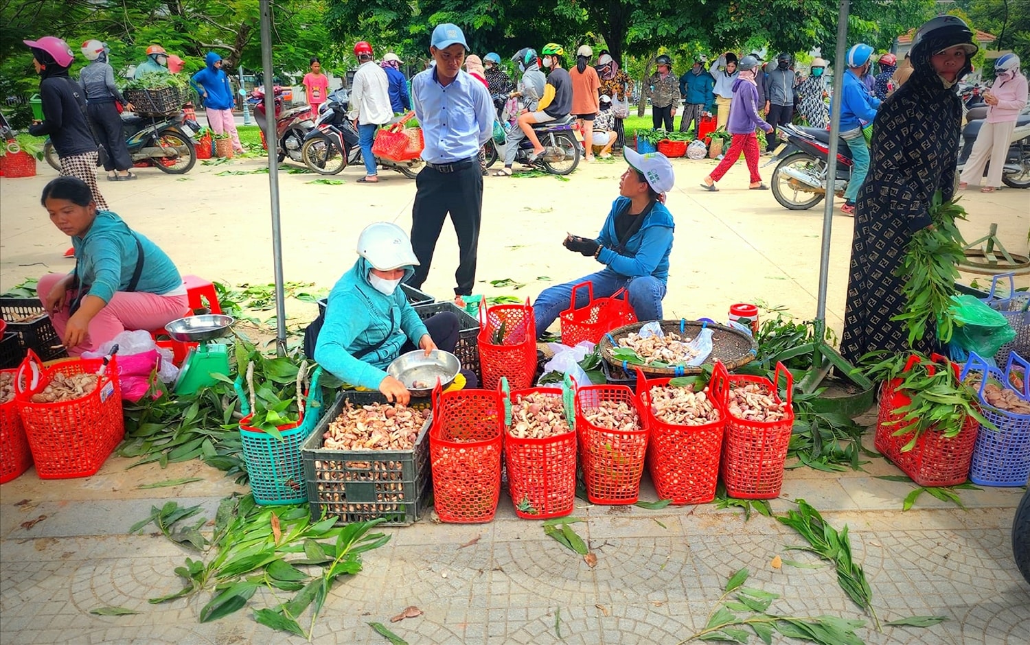 (Bài CTV) Đặc sản nấm tràm những ngày mưa Huế 4