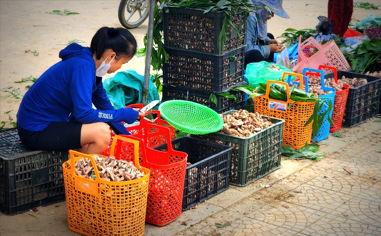 Ở TP. Huế hình thành chợ nấm tràm ngay gần Đàn Nam Giao.