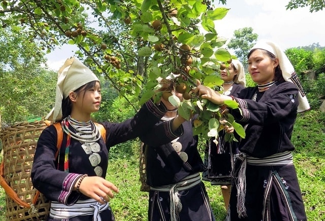Việt Nam đã cam kết đạt phát thải ròng bằng “0” vào năm 2050 (Ảnh IT)