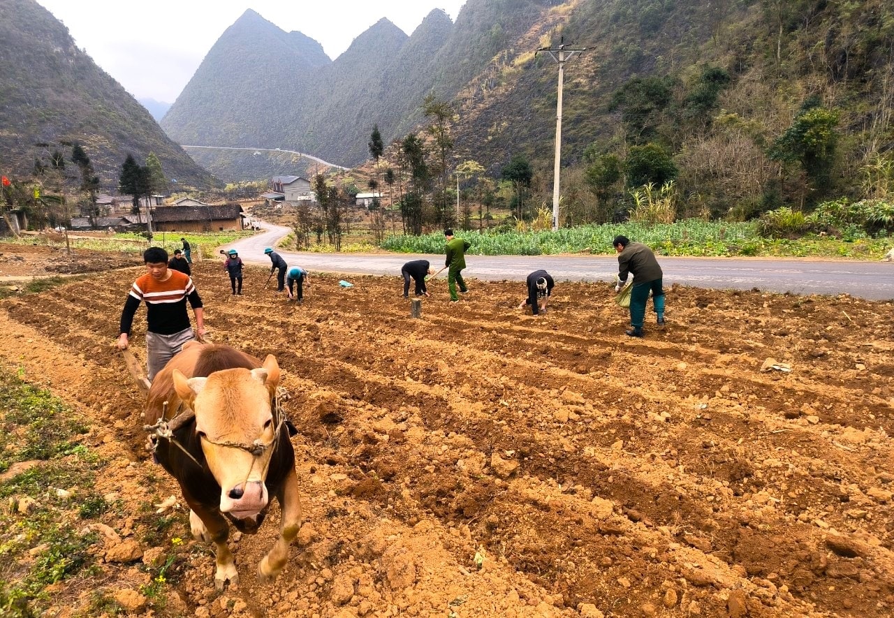 Nông nghiệp Việt Nam đang phát triển theo hướng xanh và bền vững (Ảnh IT)