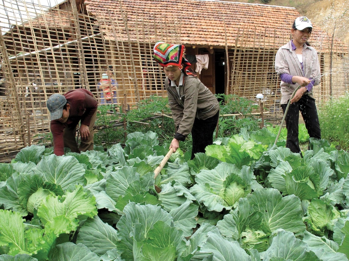 Đến nay, về cơ bản các hộ dân vùng lòng hồ thủy điện Sơn La đã được bố trí nơi ở mới khang trang, có đất sản xuất, được hỗ trợ sinh kế để ổn định cuộc sống lâu dài.