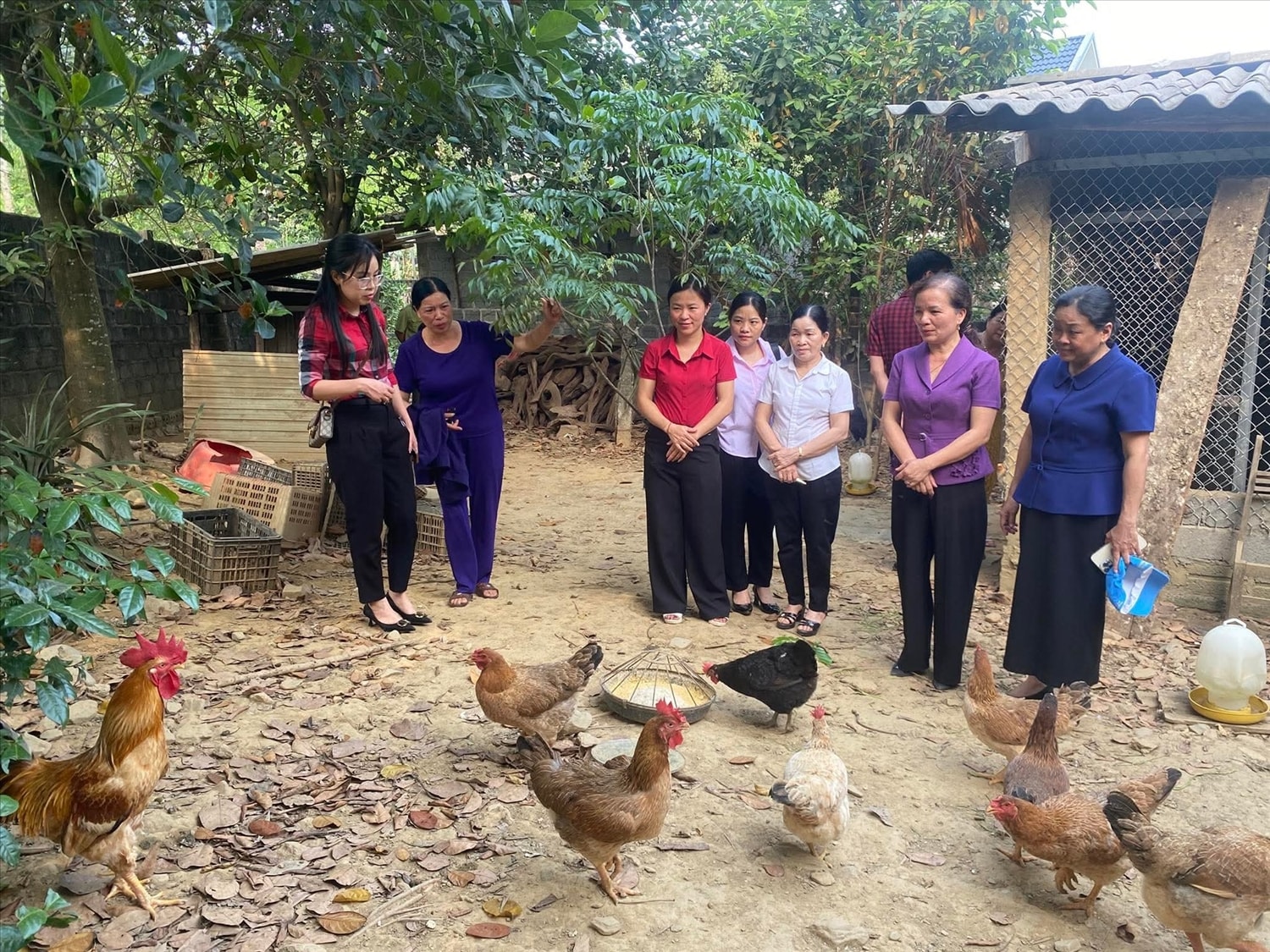 Từ các mô hình của Dự án 8 đã giúp chị em phụ nữ thay đổi nếp nghĩ, cách làm, thu hẹp khoảng cách giới