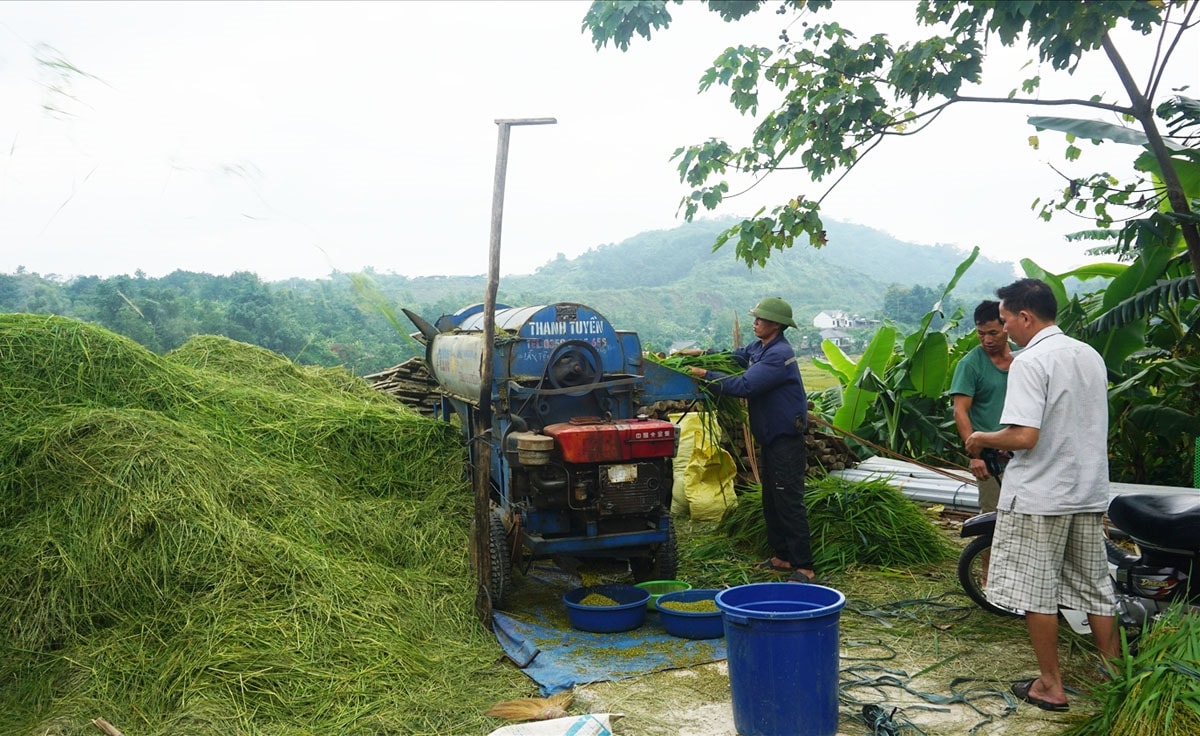 Nghề làm cốm này đã nhàn hơn vì có máy móc hỗ trợ. (Ảnh: Trọng Bảo) Nghề làm cốm này đã nhàn hơn vì có máy móc hỗ trợ. (Ảnh: Trọng Bảo)