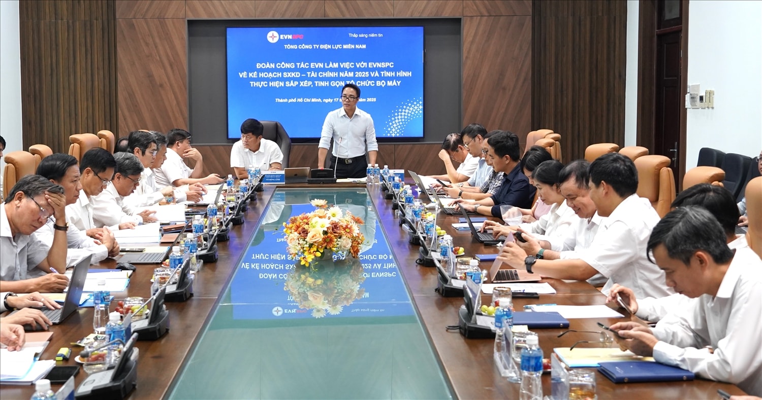 Ông Cao Quang Quỳnh – Thành viên HĐTV EVN phát biểu tại buổi làm việc với lãnh đạo EVNSPC