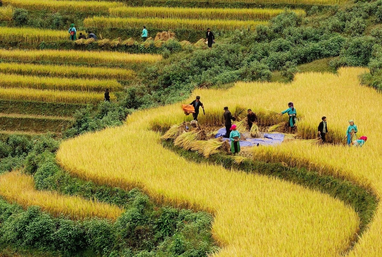 Chỉ thị số 31 đặt ra yêu cầu phát triển văn hóa, xã hội, thực hiện tiến bộ và công bằng xã hội; nâng cao đời sống vật chất, tinh thần và sức khỏe của Nhân dân (Ảnh TL).