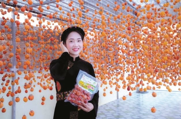 Chị Thương vinh dự là nông dân được tặng danh hiệu “Nông dân Việt Nam xuất sắc” năm 2025.