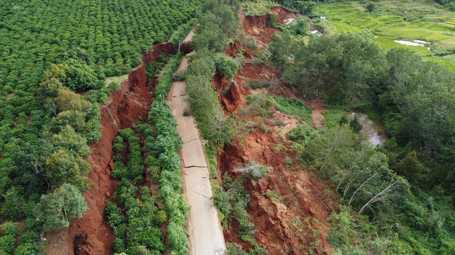 Mặt đường bị nứt gãy