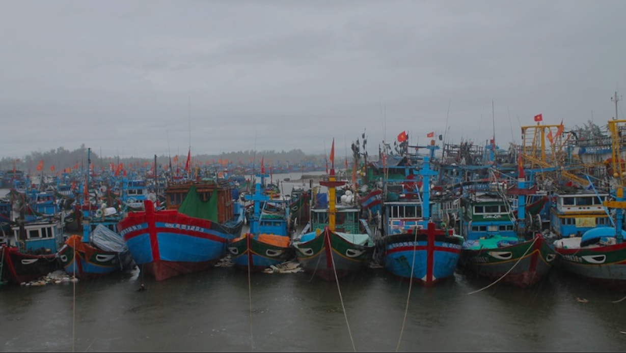 Tỉnh Quảng Ngãi vận động tàu thuyền về nơi tránh trú an toàn để đối phó với bão số 12 (Ảnh T.N)