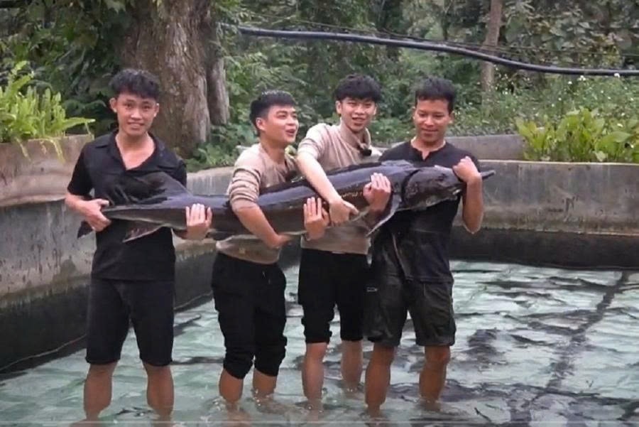 Cá tầm Siberi sẽ được kết nối, tiêu thụ tại Tuần lễ Nông sản Việt 2025 Cá tầm Siberi sẽ được kết nối, tiêu thụ tại Tuần lễ Nông sản Việt 2025
