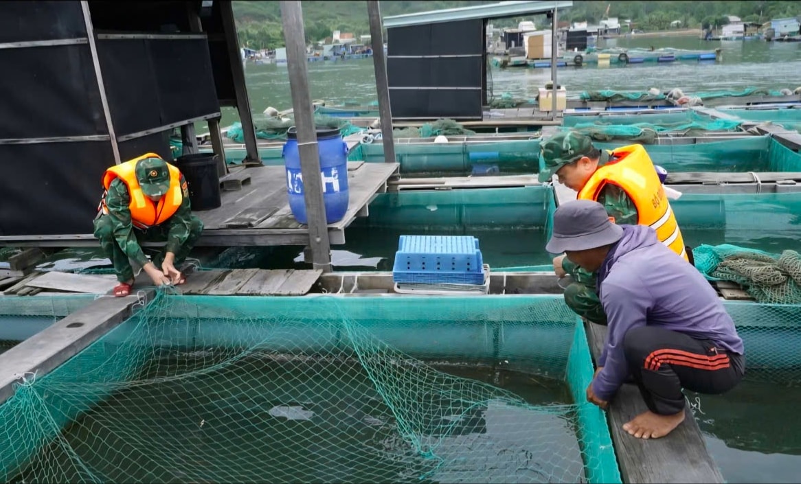 Bộ đội Biên phòng tỉnh Gia Lai giúp người dân kéo lòng bè nuôi thuỷ sản về nơi an toàn tránh bão số 12 (Ảnh CTV)