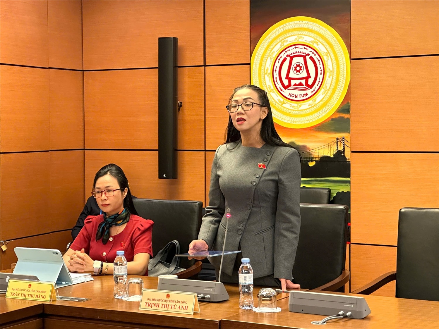 Đại biểu Trịnh Thị Tú Anh (Đoàn ĐBQH tỉnh Lâm Đồng) cho ý kiến đối với Luật Dân số