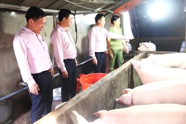 Đoàn công tác thăm và kiểm tra hộ gia đình bà Trần Thị Thu Vân ở xã Đại Phước vay vốn đầu tư chăn nuôi Đoàn công tác thăm và kiểm tra hộ gia đình bà Trần Thị Thu Vân ở xã Đại Phước (Đồng Nai) vay vốn đầu tư chăn nuôi